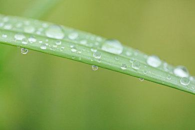 卡通B级片风格动作打僵尸游戏《热血》 现已推出试玩Demo